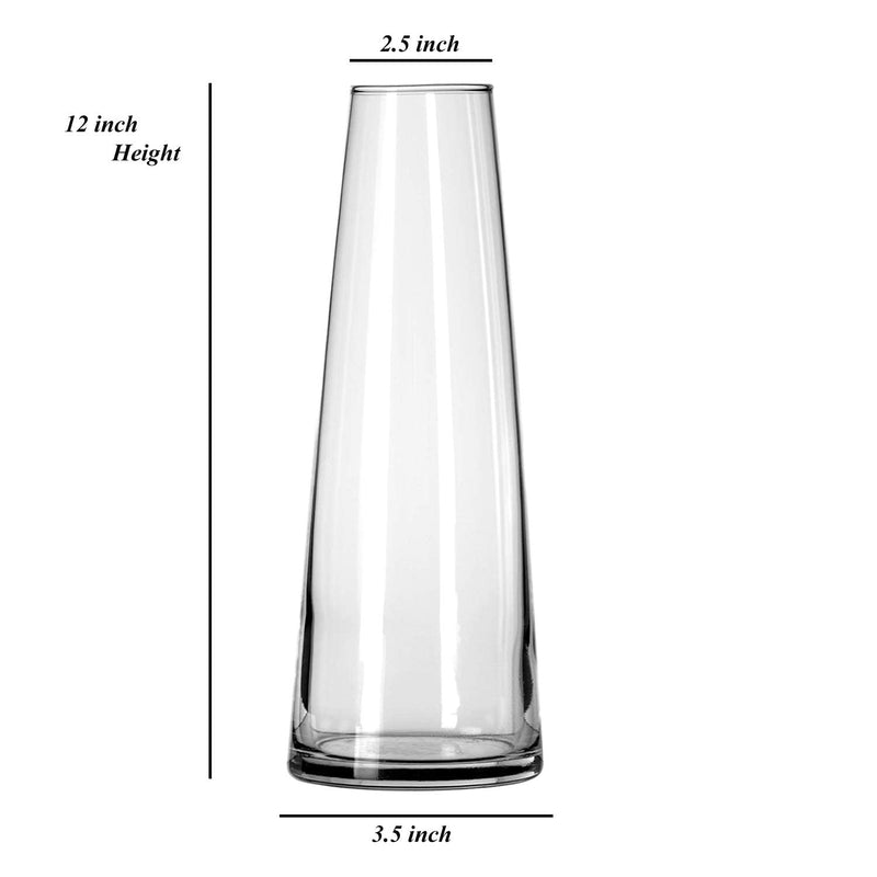 Vikram Glass Vase Tapered (30cmx9cmx5.5cm, Clear) Pack of 1 (Clear)