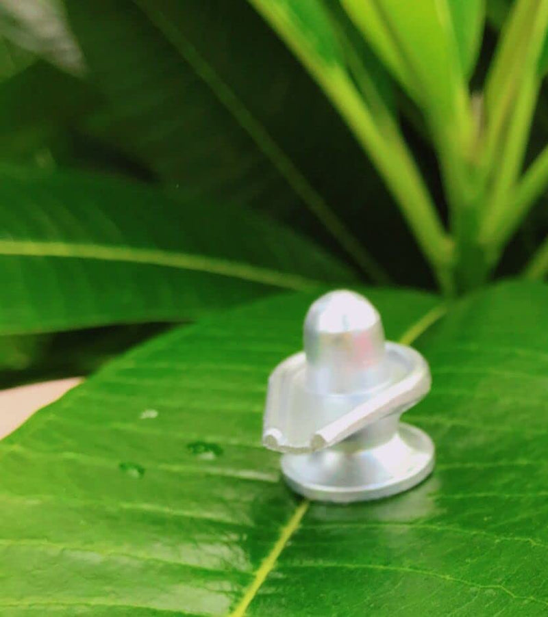 100% Pure Parad/Mercury Shivling (80 Gram) Small Thumb Size by Proaom Solutions