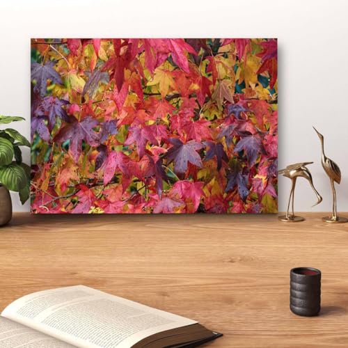 GADGETS WRAP Canvas Gallery Wrap Framed for Home Office Studio Living Room Decoration (14x11inch) - Maple Tree Leaves (2)