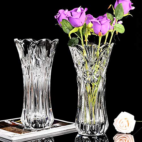 SQUICKLE Flower Vase Glass Pot for Living Room/Home/Office