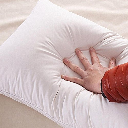 Royalking Cotton Microfiber Pillow - (White, 16"x26 Inches, Standard )