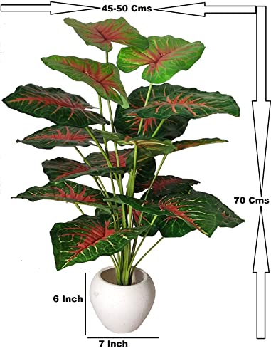 BK Mart Big Areca Palm Money Plant Tree with 18 Long Leaves Bonsai Artificial Plant with Pot (70 cm, Red, 1 Piece)