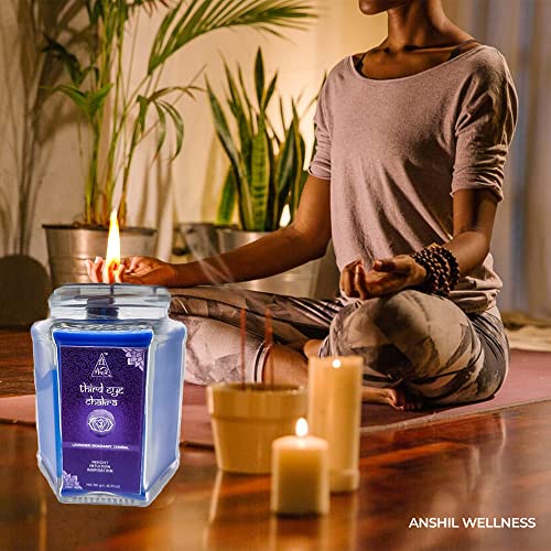 Anshil Third Eye Chakra Candle with Amethyst Crystal | Ajna Candle | Aromatherapy Candle | Chakra Candles | Meditation | Chakra Balancing (Hexa)[GET Free Surprise Gift with Every Order]