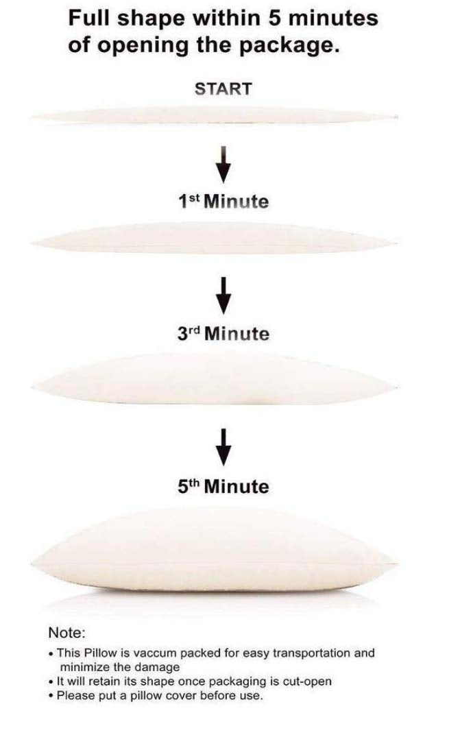 Zesture Bring Home Microfiber Pillow (Standard, White), Set of 1