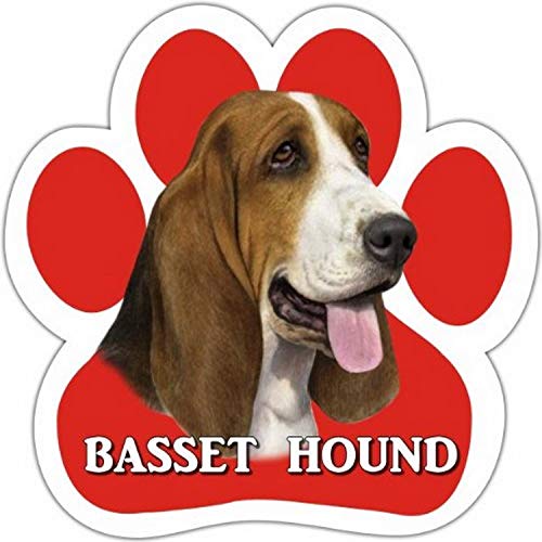 Basset Hound Car Magnet with Unique Paw Shaped Design Measures 5.2 by 5.2 Inches Covered in UV Gloss for Weather Protection