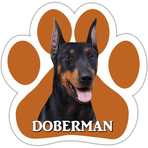 Doberman Car Magnet with Unique Paw Shaped Design Measures 5.2 by 5.2 Inches Covered in UV Gloss for Weather Protection