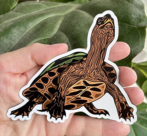 WickedGoodz Wood Turtle Magnet - Reptile Turtle Magnetic Car Decal