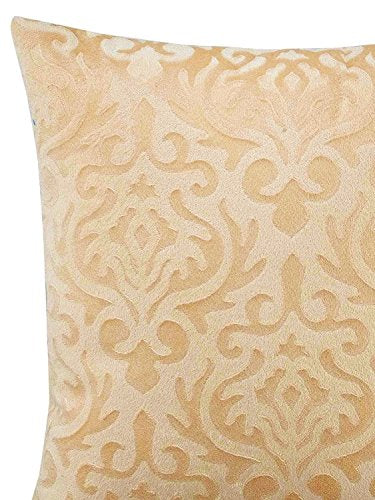 CIDIZY Beige Velvet Cushion Covers, 18 x 18 Inch, Set of 5