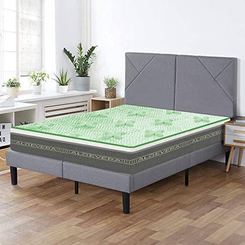 SLEEPSPA by COIRFIT Nature Rest Aloe Vera Fabric with HerbFRESH��Technology 6' Inch Double Size Memory Foam Mattress (75 x 48 x 6)