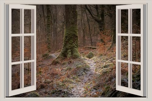 JVERF - JZZA27534 Scotland Forests Galloway Trees Moss Frost| Self-Adhesive Open Window Wall Sticker