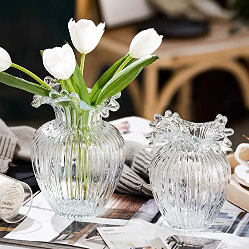 bnf® Glass Flower Vase Decorative Hydroponic Plants Pot Containers 14X21Cm | Home Decor | Vases