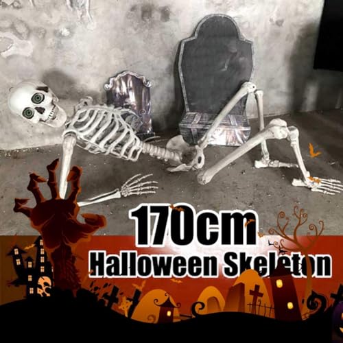 Enakshi Halloween Skeleton Props Party Favors Yard Full Body Posable Joints Skeleton 90cm|Home & Garden | Holiday & Seasonal D?©cor | Christmas & Winter | Figurines