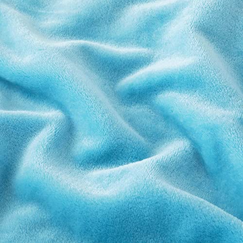 BSB HOME Micromink All Season Solid/Plain 250 Gsm Single Blanket/Comforter/Dohar/Throw - Ultra Soft Cozy Blanket with pompom Fringe (Sky Blue, 220X115 Cm) (5X7 feet)