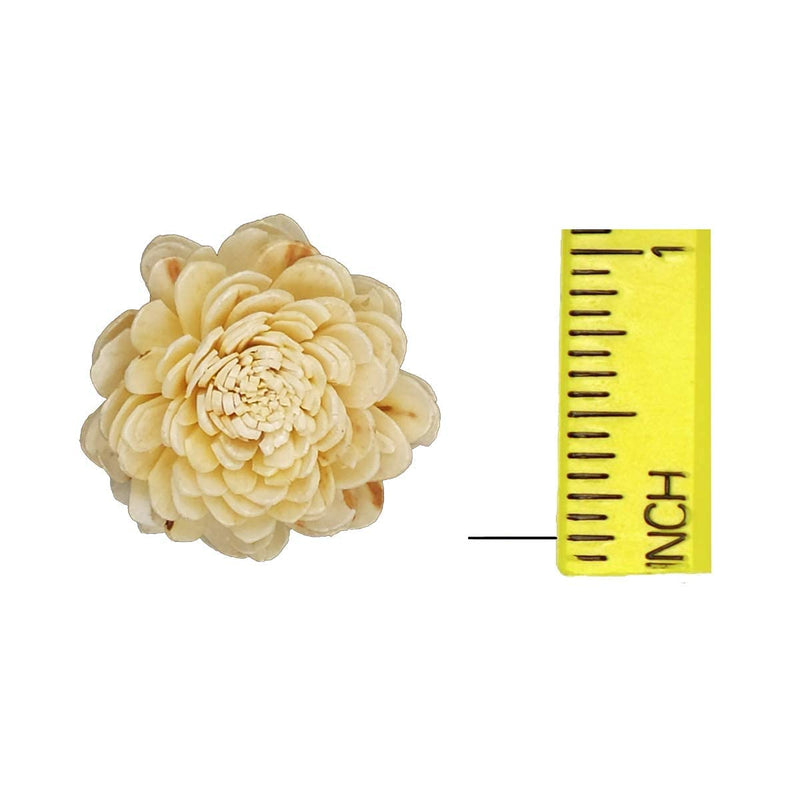 CRAFTWAFT Handmade Natural White Loose Solapit Small Flower for Craft & Decorations 1 Inch Diameter (500)