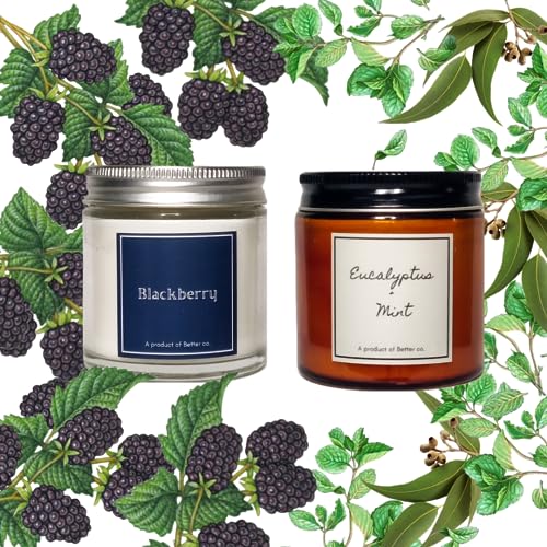 Better co Scented Soy Wax Amber Jar Candle Organic Luxury Aroma Burning Time Upto 20 Hours. Combo Pack of BlackBerry and Eucalyptus + Mint