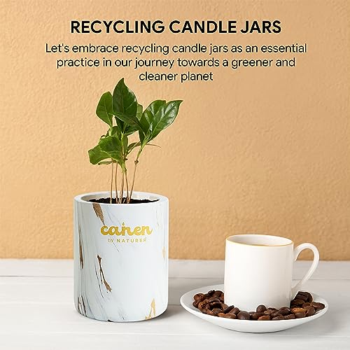 CANEN by NATURER Premium Scented Candle, Luxurious Gold Marble Candle Jar, Perfumed Grade Oil, Botanical Candle, 70 Hours Burning Time, 11.6 Oz