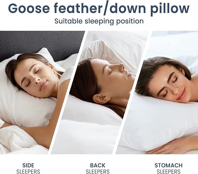 Jewear 50% Goose Down 50% Feather Luxury Cotton White Pillow Set of 1 Piece (20" X 36")