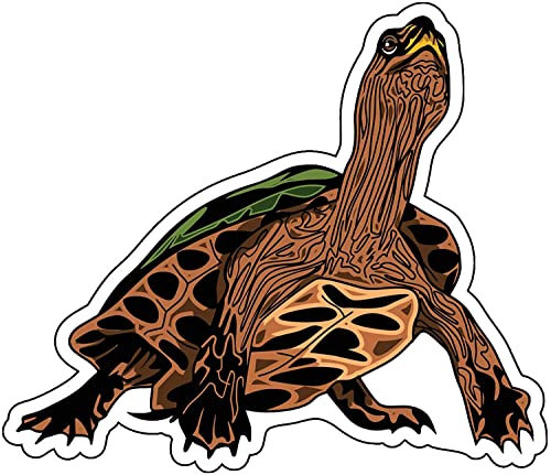 WickedGoodz Wood Turtle Magnet - Reptile Turtle Magnetic Car Decal