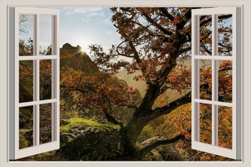 JVERF - JZZA21669 Germany Autumn Stones Hessen Trees Moss Rays of| Self-Adhesive Open Window Wall Sticker