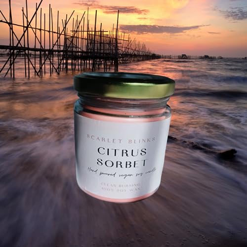 Scarlet Blinks Citrus Sorbet | Soy Wax Candles | Aroma Therapy Candles | Burning Time :-45 HRS Pack of 3