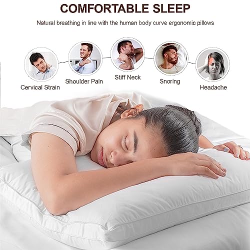 SPREAD SPAIN Microfiber Doctor Pillow Soft Fluffy Pillow for Sleeping, Dr. Pillow for neck and shoulder pain, Back Sleeper, Side Sleeper, 45 x 68 CM - White