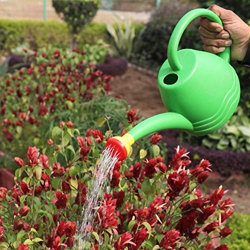 DIVINE TREE (1.8 L)Plastic Green Watering Can with Sprayer for Plants/Garden | Indoor Outdoor Watering Can | Sprinkler for Plants Seed Germination | Hand Held Sprayer | Watering Wand & Bottles For Garden