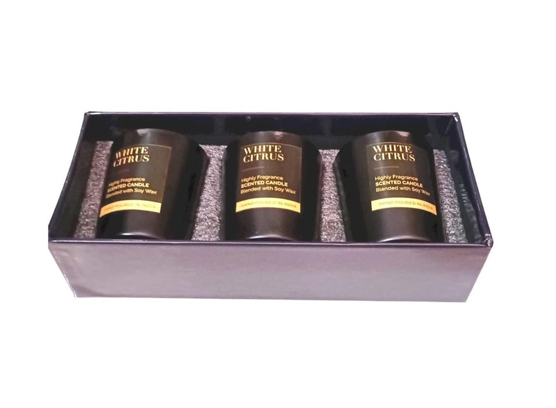 The Decor Affair Embrace The Art of Relaxation with This Set of 3 Premium Votive Candles, Providing Extended Burning Hours and Everlasting Illumination.