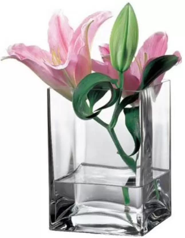 Ak Glass Vase | 6 Inch Glass Vase | Rectangular Glass Vase | Decorative Glass Vase | Transparent Glass Vase