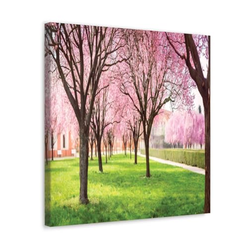 GADGETS WRAP Canvas Gallery Wrap Framed for Home Office Studio Living Room Decoration (17x17inch) - Cherry Blossom Trees (2)