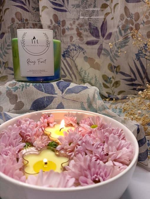 LIT the candle people - Rainy Forest Hand Poured Soy Wax 3 Wick jar Candle,425 Grams, a Mini Glass Bottle with a Striker and Match Sticks