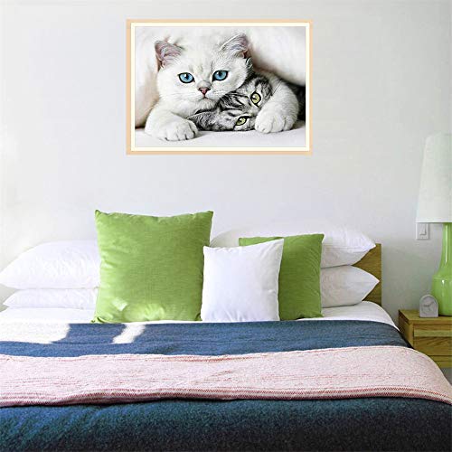 DIY 5D S10106 Cat 40X30 Full Embroidery tings Arts Craft for Home Wall Decor(S10106)-POOWE