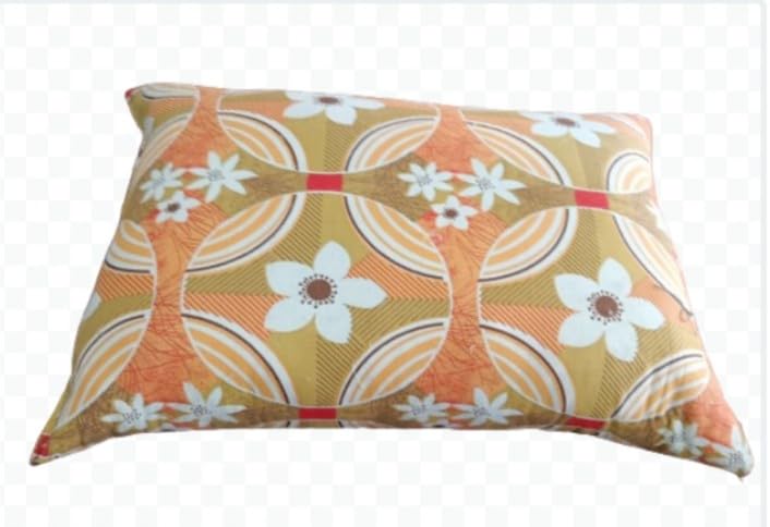 Silk cotton elavum panchi pillow set of two