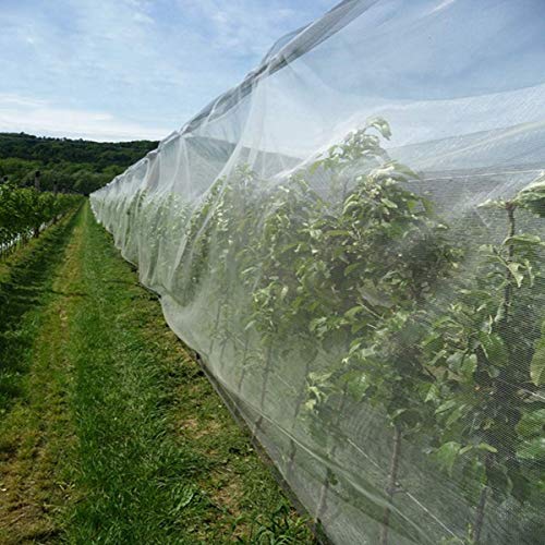 Anaya Mosquito Net Mosquito Netting - Bug Insect Bird Net Barrier - Mesh Netting White - 7 ft x 15 ft (NEW-DIV-062)