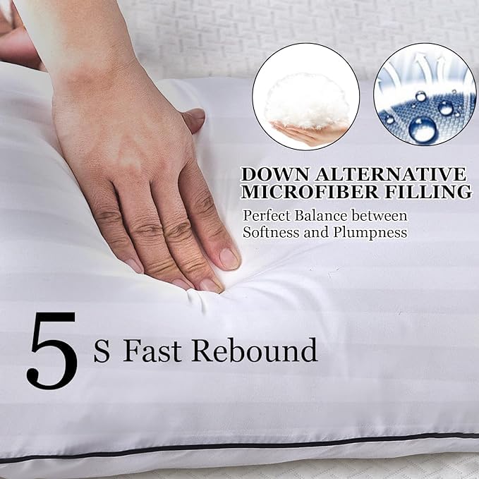 9villa Conjugated Micro Fiber Pillow 16 X 26 Inch Set Of 4 , Transparent