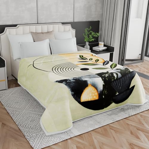 Signature Kautilya Luxuriously Super Soft Double Ply Faux Mink Blanket – Heavyweight 4.5kg for Ultimate Winter Warmth 220x240CM 4.5Kg (Modern Serenity)