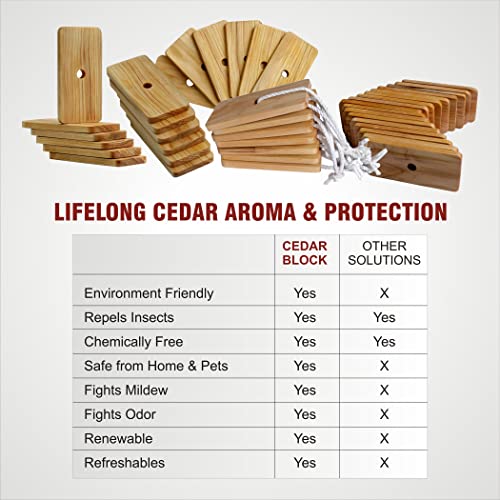 BLOOMAX® Original Natural Cedar Wood Blocks Repellent I Aromatic Cedar Blocks, Clothes Protection Storage Accessories wardrobes Drawers Freshener (Cedar Block's, Pack Of-20)