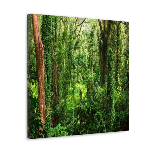 GADGETS WRAP Canvas Gallery Wrap Framed for Home Office Studio Living Room Decoration (17x17inch) - Green Forest View