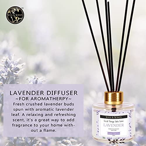 Soul & Scents Glass Lavender Reed Diffuser Set with 6 Fiber Reed Sticks|Toxin Free & Stress Relief|Fine-Living Natural Fragrance|Long Lasting|Smoke Less Room Freshener for Home, Bedroom|120ml