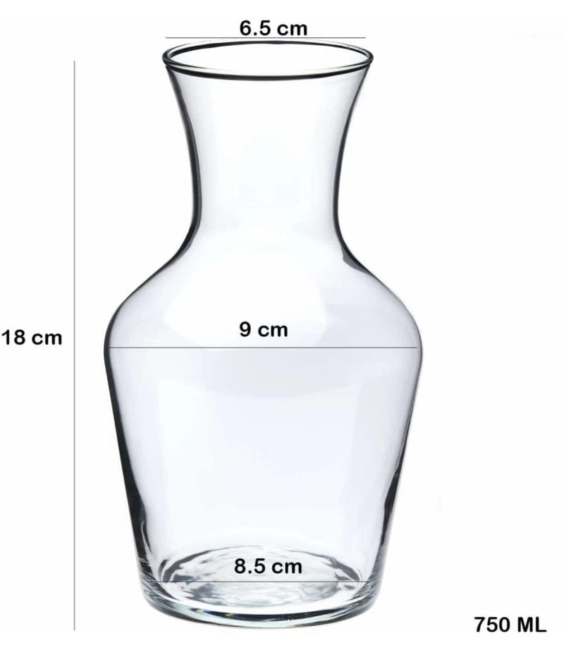 Urban Moon Potpourie Glass Vase, Flower Vase, Vessel, Money Plant Pot For Balcony, Bedroom, Home, Table And Office Decoration (Bottle Shape Pot) - Pack Of 1 Piece, 7.5 Inches, Round, Clear