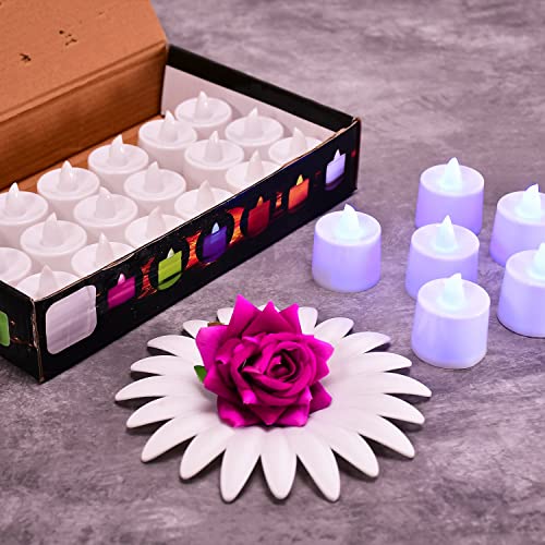 Baleen Pink Flameless LED Tealights, Smokeless Plastic Decorative Candles - Led Tea Light Candle for Home Decoration (Pack of 24)