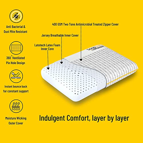 SleepSmith Premium Mattress, 3 Zoned Orthopedic Memory Foam Mattress, 8 Inch with 2 Pillows Graphite Infused Cloud Foam, Active Cooling White Mattress Combo Set, -75" X 60" x 6 Inches, (Queen Size)