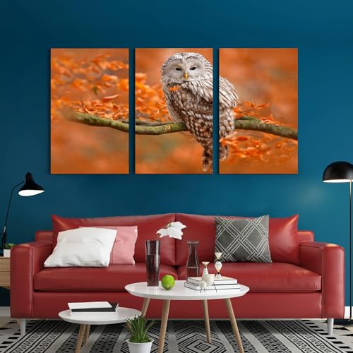 GADGETS WRAP Canvas Gallery Wrap Framed for Home Office Studio Living Room Decoration (3Part, 14x27inch Each) - Owl Sitting