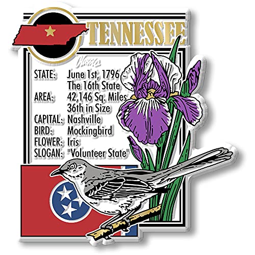 Six-Piece State Magnet Set - Tennessee