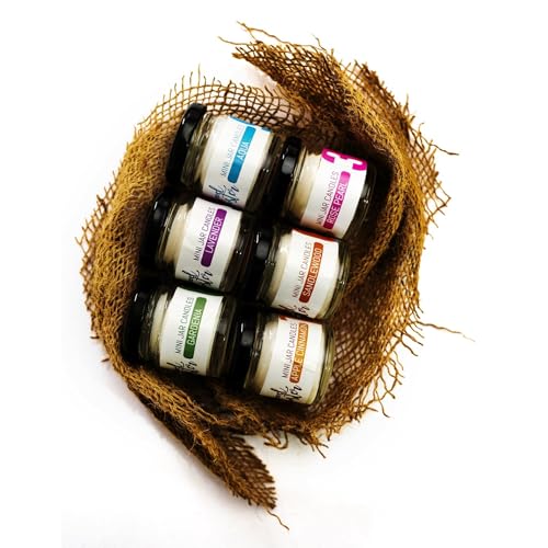 Zeross Mood Booster Apple Cinnamon, Lavender, Aqua, Rose Pearl, Sandalwood, Gardenia Fragrance, Wax, Pack of 6 * 30 Grams per Mini Jar Candle