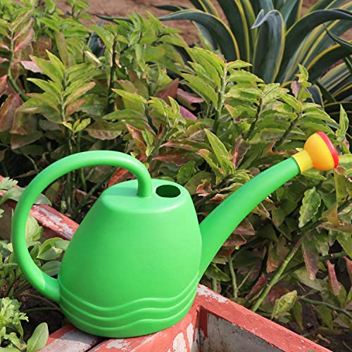 DIVINE TREE (1.8 L)Plastic Green Watering Can with Sprayer for Plants/Garden | Indoor Outdoor Watering Can | Sprinkler for Plants Seed Germination | Hand Held Sprayer | Watering Wand & Bottles For Garden