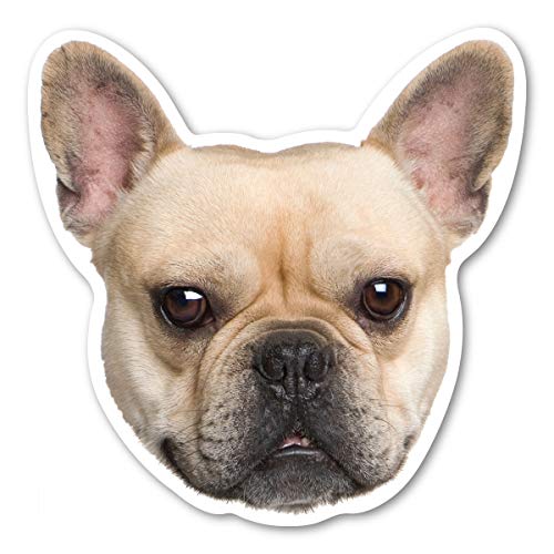 (Fawn) French Bulldog Magnet