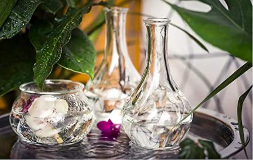 VILJESTARK - ikea - Vase, Clear Glass, 17 cm (6 ¾")