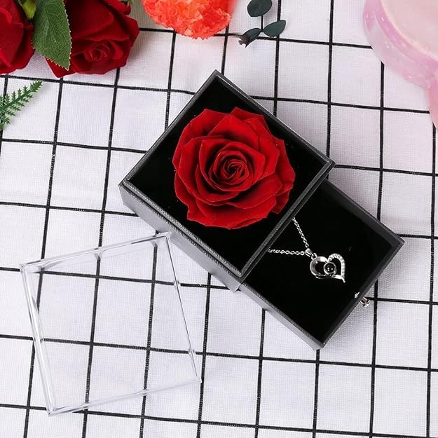 TIED RIBBONS Birthday Gift for Girls Girlfriend Wife Mom Mother Girls Women Friends Anniversary Wedding Gift Preserved Red Rose Flower Box with I Love You in 100 Languages (Silver Necklace)