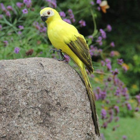 WPS- Artificial Parrot Showpiece with Long Feather Figure Ornament for Garden, Christmas,DIY & Craft, Temple, Home, Living Room,Wedding, Banquet Decoration, 11" x 13" (Green Yellow)