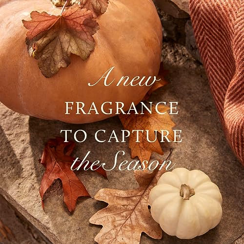 Thymes Pumpkin Laurel Statement Large Candle - Scented Candle with Notes of Nutmeg, Cinnamon, Clove, Pumpkin, and Orange Peel - Luxury Home Fragrance - Burnt Orange Pumpkin-Shaped Candle (15 oz)